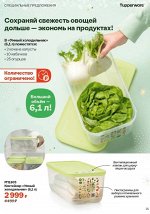 Контейнер Умный холодильник™ (6,1 л) 1шт - Tupperware®.