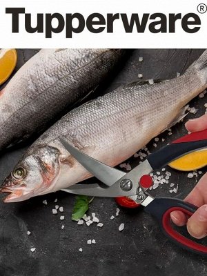 Ножницы Диско™ для птицы 1шт - Tupperware®.