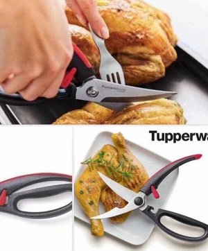 Ножницы Диско™ для птицы 1шт - Tupperware®.