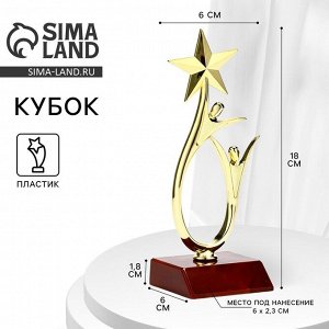 Кубок, наградная фигура «Человек со звездой», золото, подставка пластик красная, 18x6x6 см