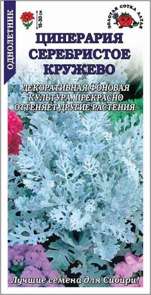 Цветы Цинерария Серебристое Кружево ЦВ/П (СОТКА) 0,05гр однолетник 15-30см