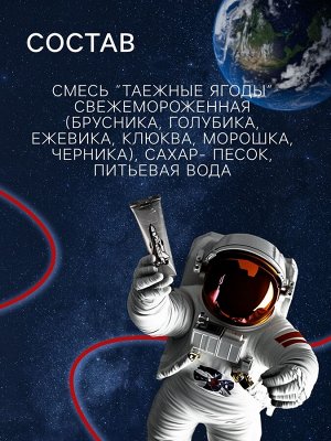Космическое питание «Морс из ягод тайги», в тюбике, 115 г