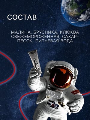 Космическое питание «Морс из лесных ягод», в тюбике, 115 г
