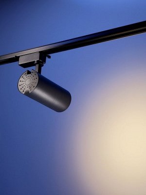 Трековый светильник Luazon lighting, LTL-012, 30 Вт, 2100 Лм, 4000 K, чёрный, свечение нейтральное белое