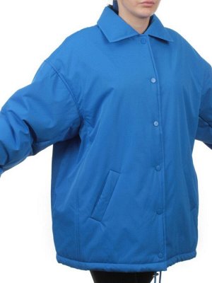 H24-216 BLUE Куртка демисезонная женская (100 гр. синтепон)