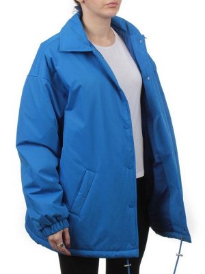 H24-216 BLUE Куртка демисезонная женская (100 гр. синтепон)