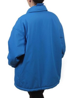 H24-216 BLUE Куртка демисезонная женская (100 гр. синтепон)