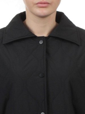 H24-213 BLACK Куртка демисезонная женская (100 гр. синтепон)
