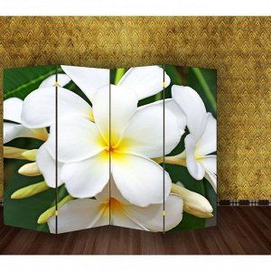 Ширма "Тропические цветы", 200 x 160 см