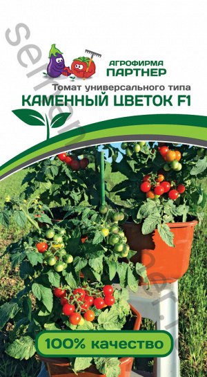 Томат Каменный Цветок F1 5шт