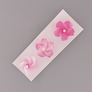 Магниты для холодильника, 3 шт.