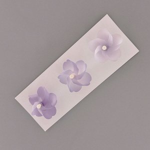 Магниты для холодильника, 3 шт.
