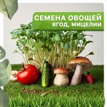 Семена овощей, ягод, мицелии