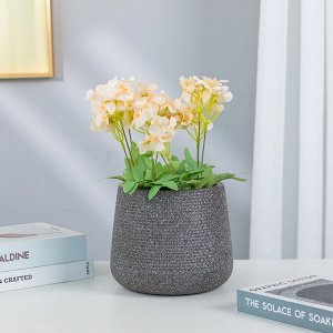 Горшок для цветов и суккулентов, горшок для цветов