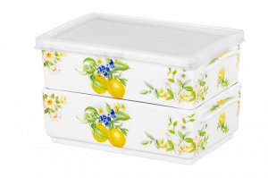Набор из 2-х блюд для холодца 700 мл, 19x12x11,5 см, "Лимоны", NEW BONE CHINA