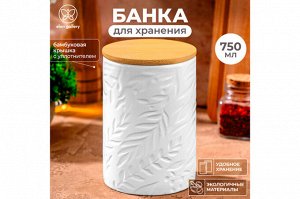 Банка для хранения 750 мл с бамбуковой крышкой и силиконовой уплотнительной прокладкой, белая (10x10x15 см)