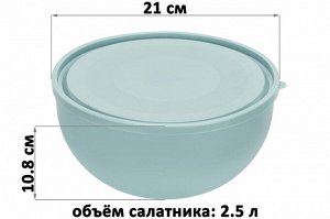 Салатница с крышкой 2,5 л, 21x21x10,8 см, серо-голубая (модель 281)