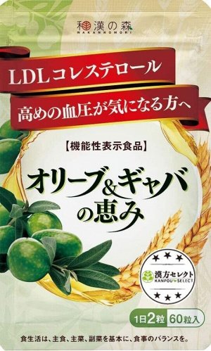 Комплекс при повышенном АД и уровне холестерина Wakannomori Kampo GABA