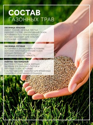 Газонная травосмесь Микс «Мой Выбор», травосмесь, 3 кг