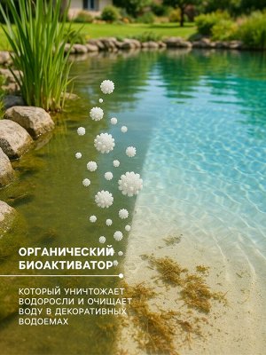 Биологическое средство для чистки декоративных прудов и фонтанов «Прудочист», 90 г