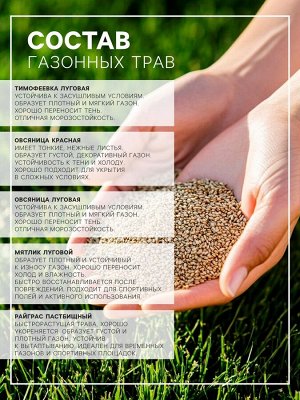 Газонная травосмесь «Спортивный» 0.5 кг