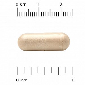 California Gold Nutrition, MEM Boost ™, поддержка памяти и когнитивных функций с альфа-ГФХ, экстрактом гривы, экстрактом кофейных плодов и фосфатидилсерином, 60 растительных капсул