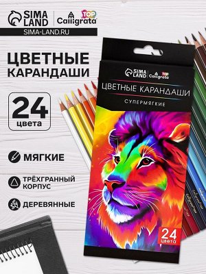 Карандаши цветные 24 цвета TOP Calligrata, супермягкие, в картонной коробке, диаметр грифеля 3 мм, 5B