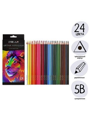 Карандаши цветные 24 цвета TOP Calligrata, супермягкие, в картонной коробке, диаметр грифеля 3 мм, 5B