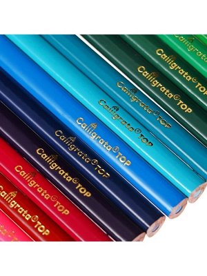 Карандаши цветные 24 цвета TOP Calligrata, супермягкие, в картонной коробке, диаметр грифеля 3 мм, 5B