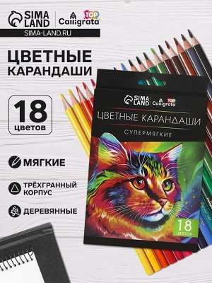 Карандаши цветные 18 цветов TOP Calligrata, супермягкие, в картонной коробке, диаметр грифеля - 3 мм, 5B