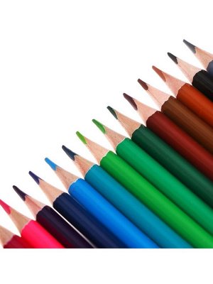 Карандаши цветные 18 цветов TOP Calligrata, супермягкие, в картонной коробке, диаметр грифеля - 3 мм, 5B