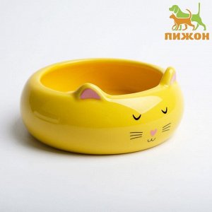 Миска керамическая «Кошка-лепёшка» 200 мл 13x13x5.5 cм, жёлтая