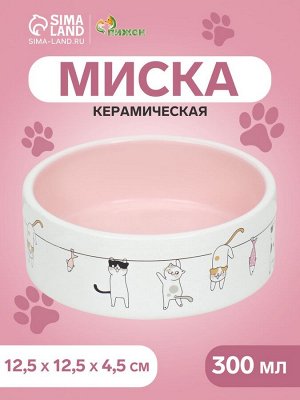 Миска керамическая «Весёлые котики» 300 мл 12.5x4.5 cм, бежево-белая