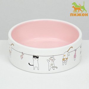 Миска керамическая «Весёлые котики» 300 мл 12.5x4.5 cм, бежево-белая
