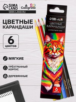 Карандаши цветные 6 цветов TOP Calligrata, супермягкие, в картонной коробке, диаметр грифеля 3 мм, 5B