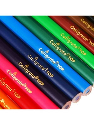 Карандаши 12 цветов TOP Calligrata, супермягкие, в картонной коробке, диаметр грифеля - 3 мм
