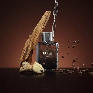Туалетная вода Elite Gentleman Quest для него