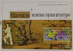 Магнитный Мяо Чжен, 8шт в упаковке