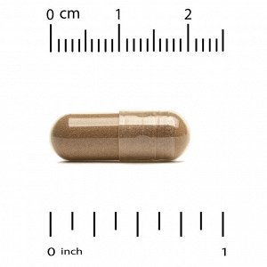 California Gold Nutrition, пчелиный прополис 2X, концентрированный экстракт, 500 мг, 240 вегетарианских капсул
