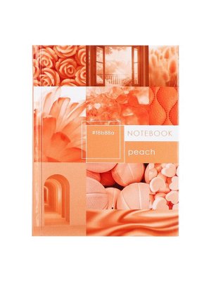 Блокнот А6, 40 листов в клетку Apricot Crush, твёрдая обложка, глянцевая ламинация, блок офсет