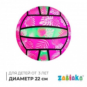 Мяч детский «Волейбол», d=22 см