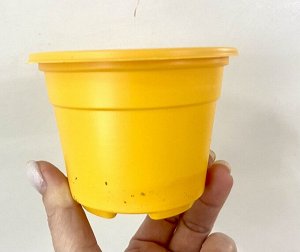 Горшок круглый D 9 h 6.8 V260мл, жёлтый
