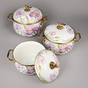 Набор эмалированных кастрюль "Iris" (6 предметов) - 2,1Л, 2,8Л, 3,8Л, 1 шт.