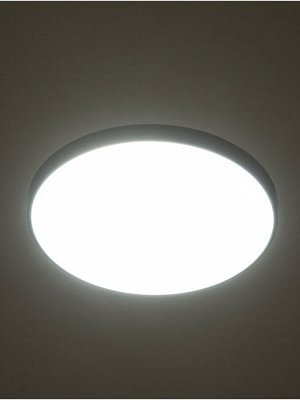 Светильник "Минимал" круг LED 18Вт 6500К (быстросъемный механизм) черный 23х23х5см