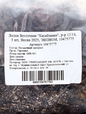 Лилия Восточная «Касабланка», луковицы, р-р 12/14, 3 шт.