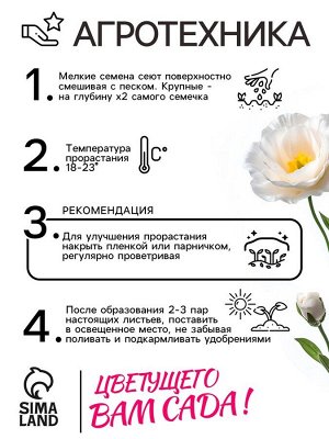 Семена Эустома "Сапфир" F1 белая крупноцветковая , 5шт