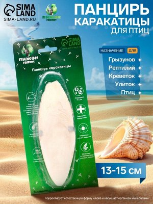 Панцирь каракатицы для птиц 13-15 см, белый