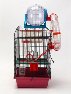 Клетка для грызунов трехярусная с лабиринтом и колесом, 39 x 29 х 64 см, микс цветов