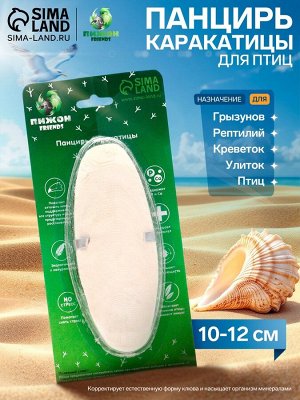 Панцирь каракатицы для птиц 10-12 см, белый