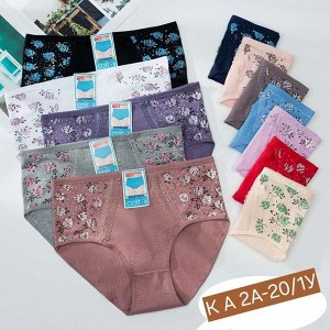 Трусы женские 5 шт (разного цвета), код 6741868
